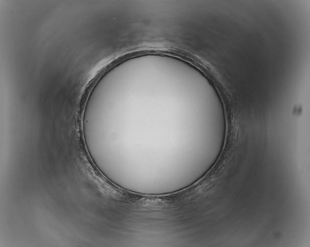 X0000111671168200908071450