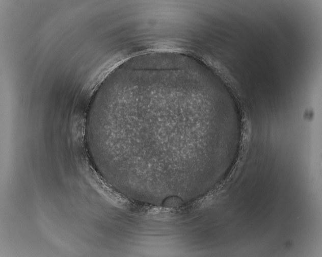 X0000111671169200908071450