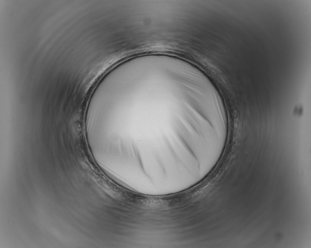 X0000111671170200908071450