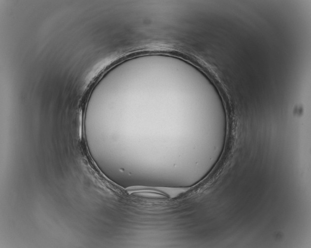 X0000111671171200908071450