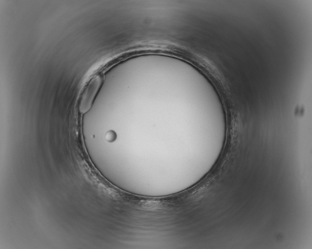 X0000111671172200908071450