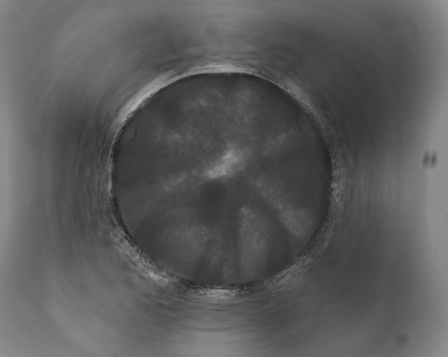 X0000111671173200908071450