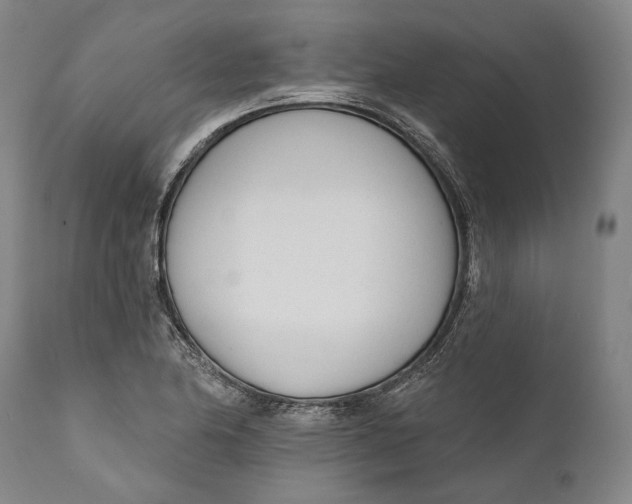 X0000111671174200908071450