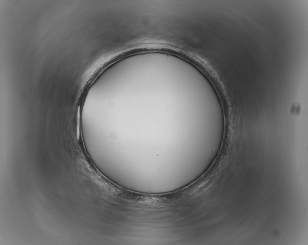 X0000111671175200908071450