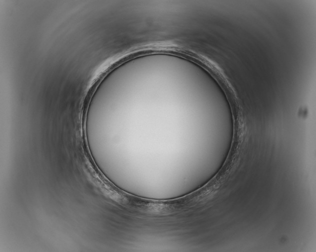 X0000111671176200908071450