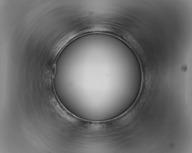 X0000111671177200908071450