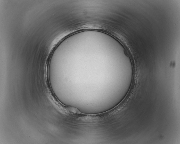 X0000111671179200908071450