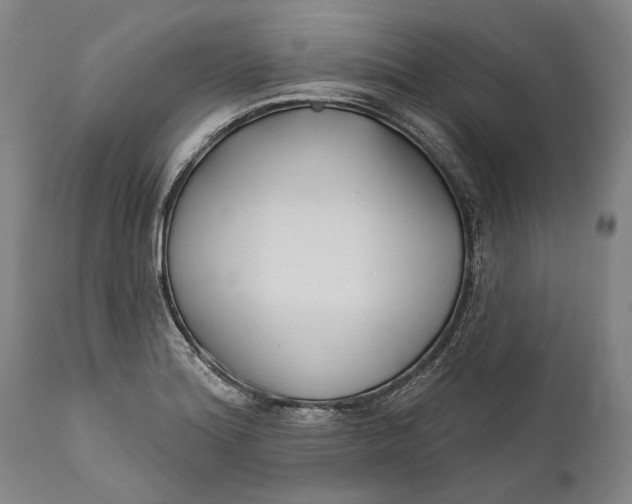 X0000111671180200908071450