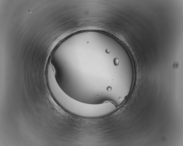 X0000111671181200908071450