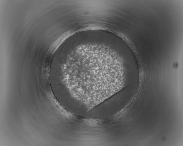 X0000111671185200908071450