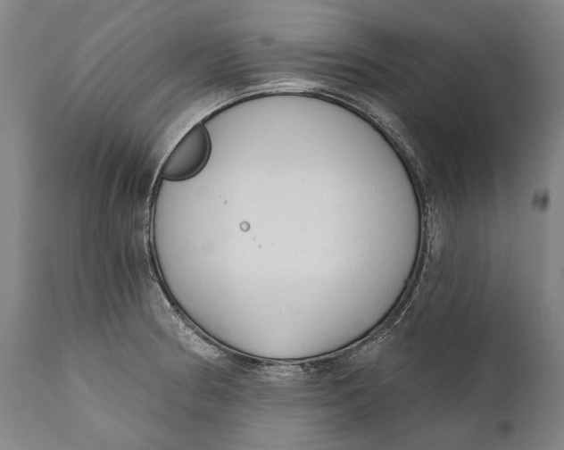 X0000111671186200908071450