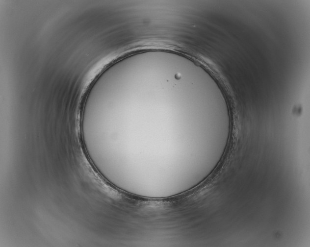 X0000111671188200908071450