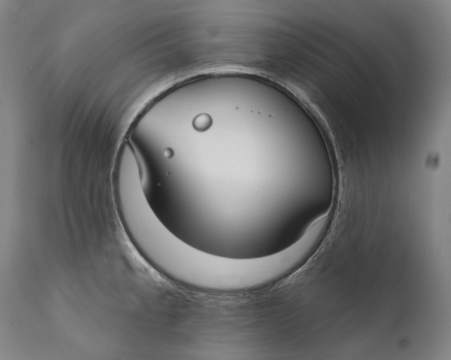 X0000111671189200908071450