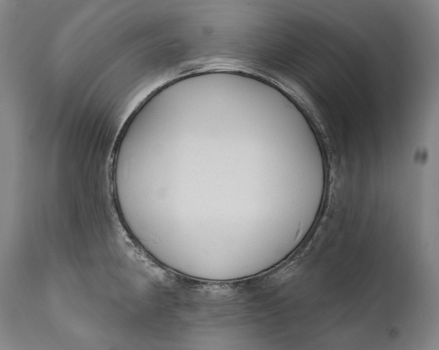 X0000111671190200908071450