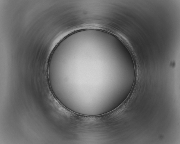 X0000111671192200908071450