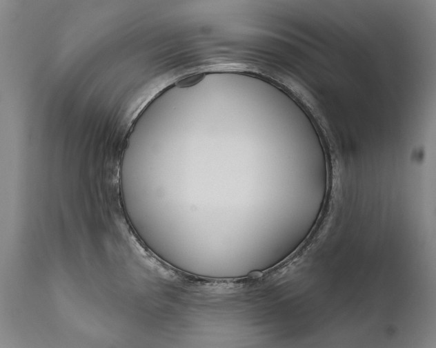 X0000111671193200908071450