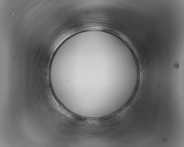 X0000111671194200908071450