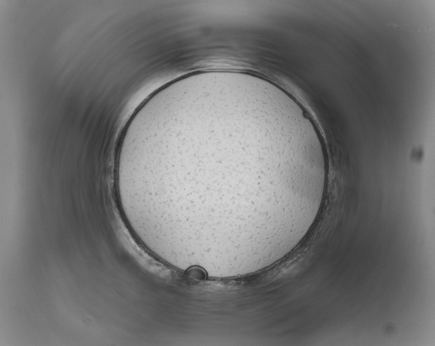 X0000111671195200908071450