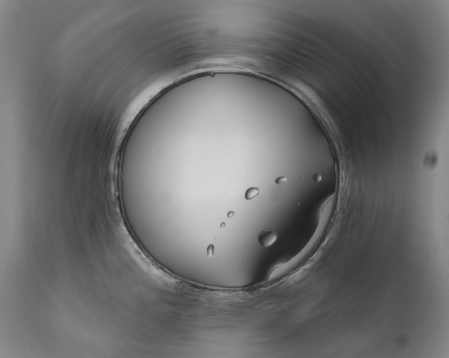 X0000111671196200908071450