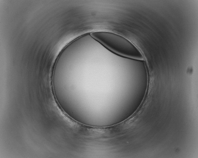 X0000111671197200908071450