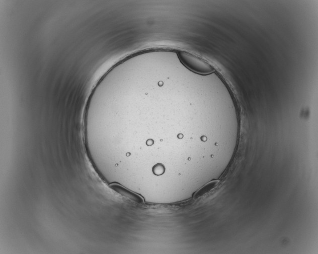 X0000111671199200908071450