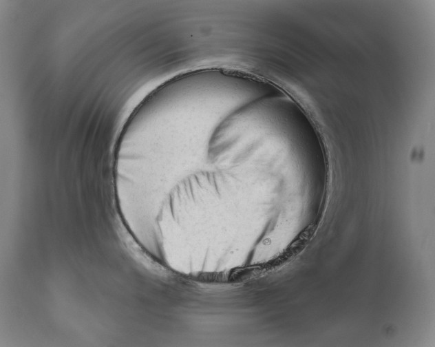 X0000111671200200908071450