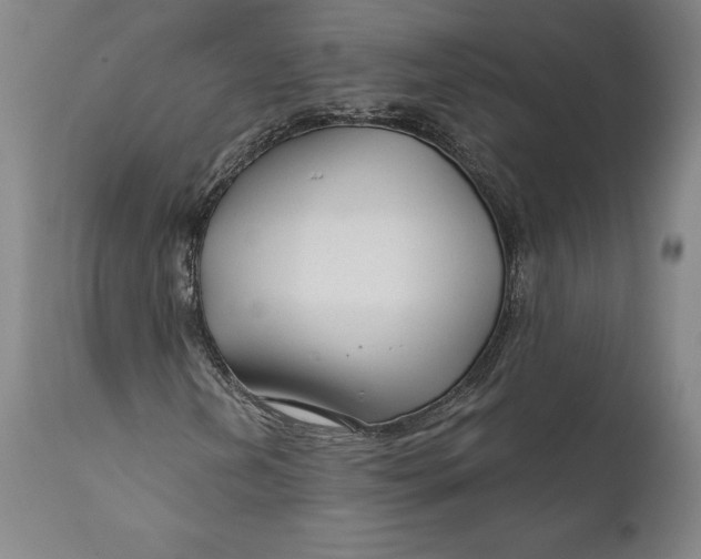 X0000111671202200908071449