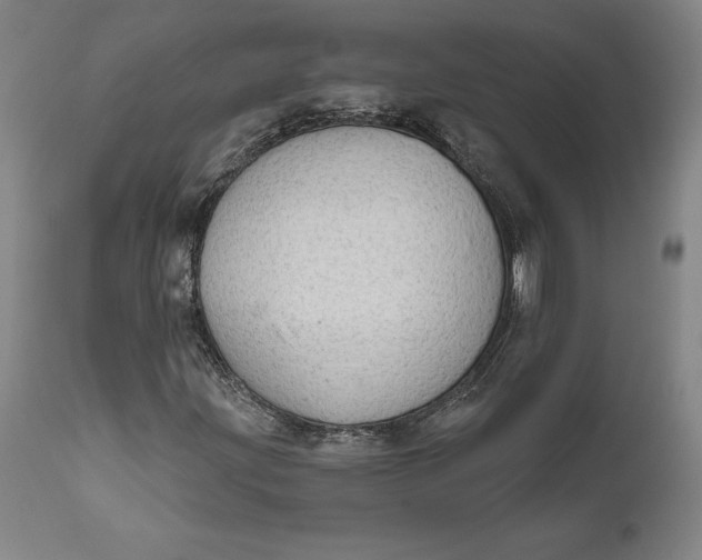 X0000111671203200908071449