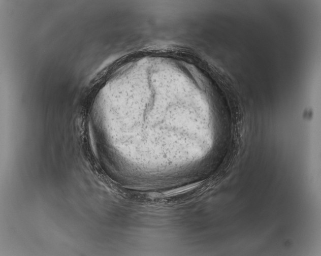 X0000111671206200908071449