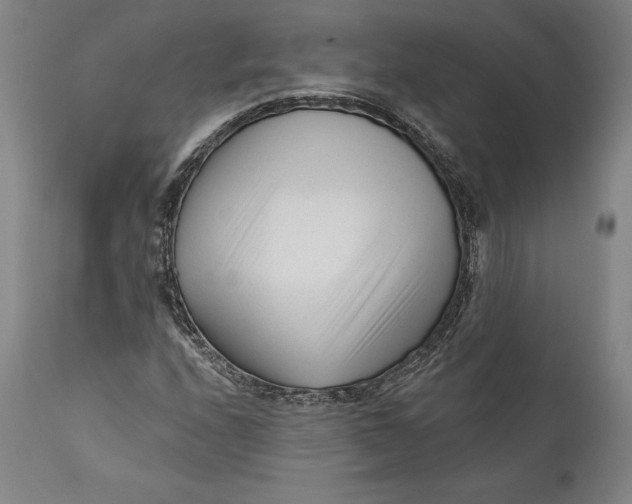 X0000111671208200908071449