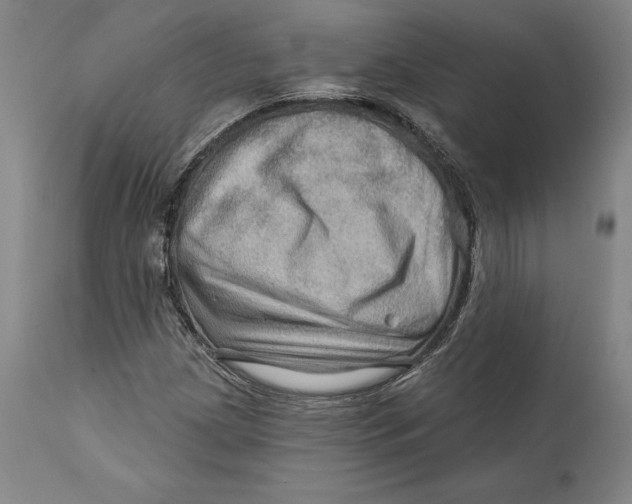 X0000111671209200908071449