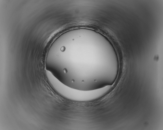 X0000111671210200908071449