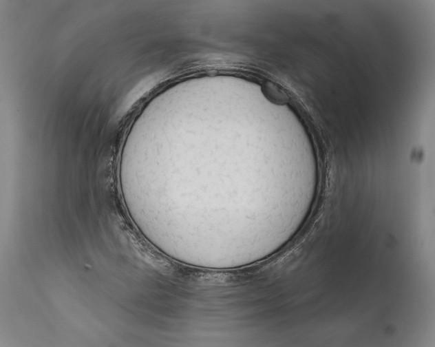 X0000111671211200908071449