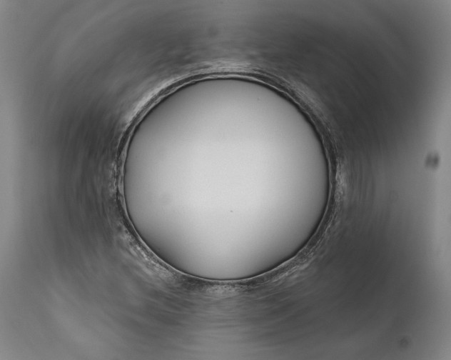 X0000111671212200908071449