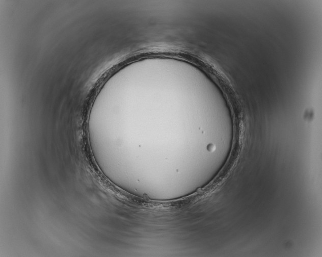 X0000111671213200908071449