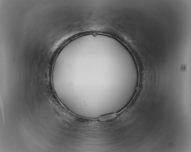 X0000111671214200908071449