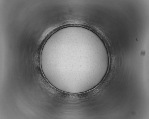 X0000111671215200908071449