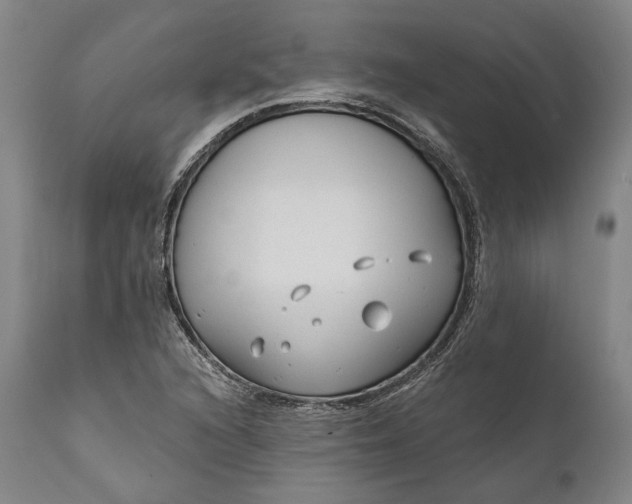 X0000111671216200908071449