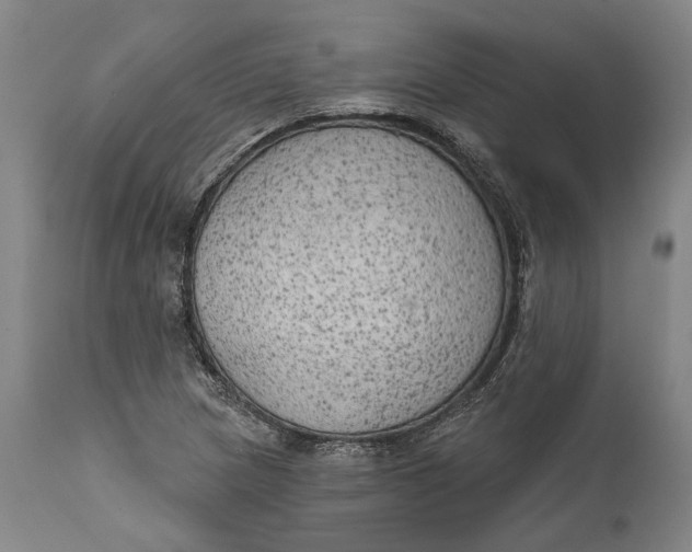 X0000111671217200908071449