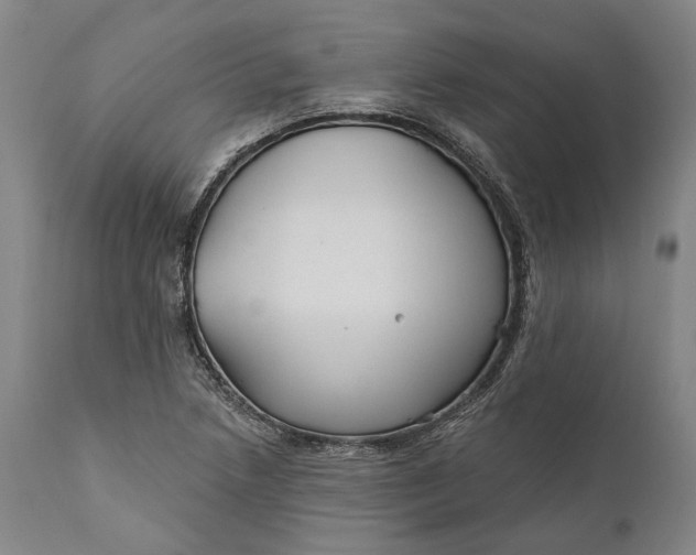 X0000111671218200908071449