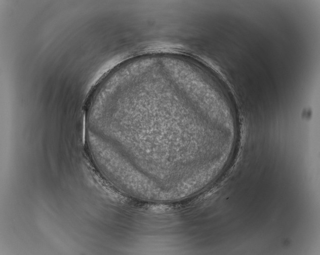 X0000111671219200908071449