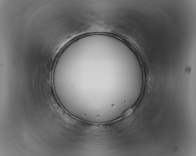 X0000111671220200908071449