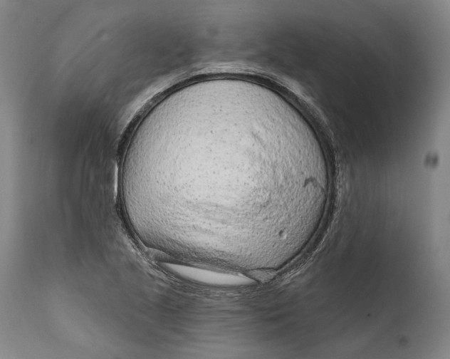 X0000111671221200908071449