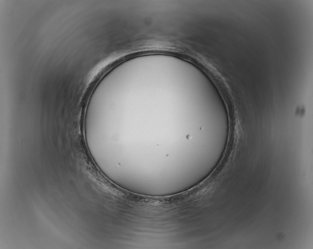 X0000111671222200908071449