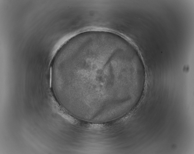 X0000111671223200908071449