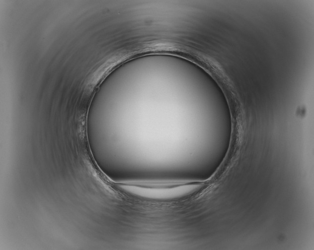 X0000111671225200908071449