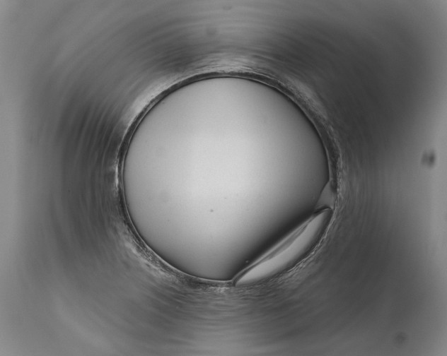 X0000111671226200908071449