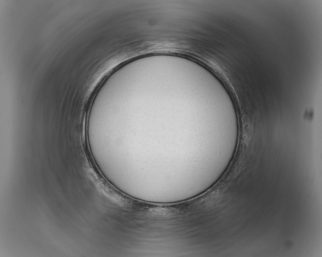 X0000111671227200908071449