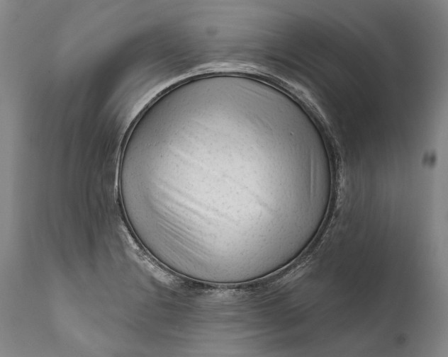 X0000111671228200908071449