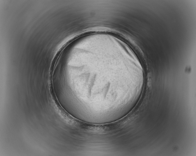 X0000111671229200908071449